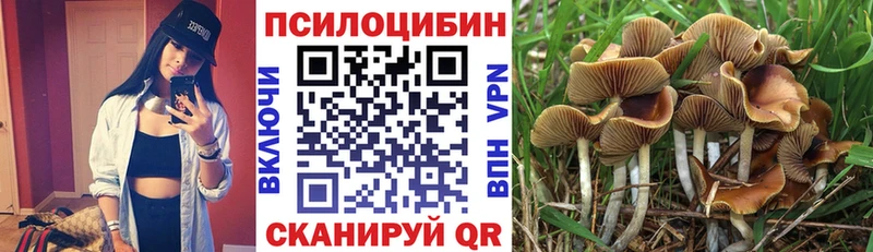 Галлюциногенные грибы MAGIC MUSHROOMS  Избербаш 