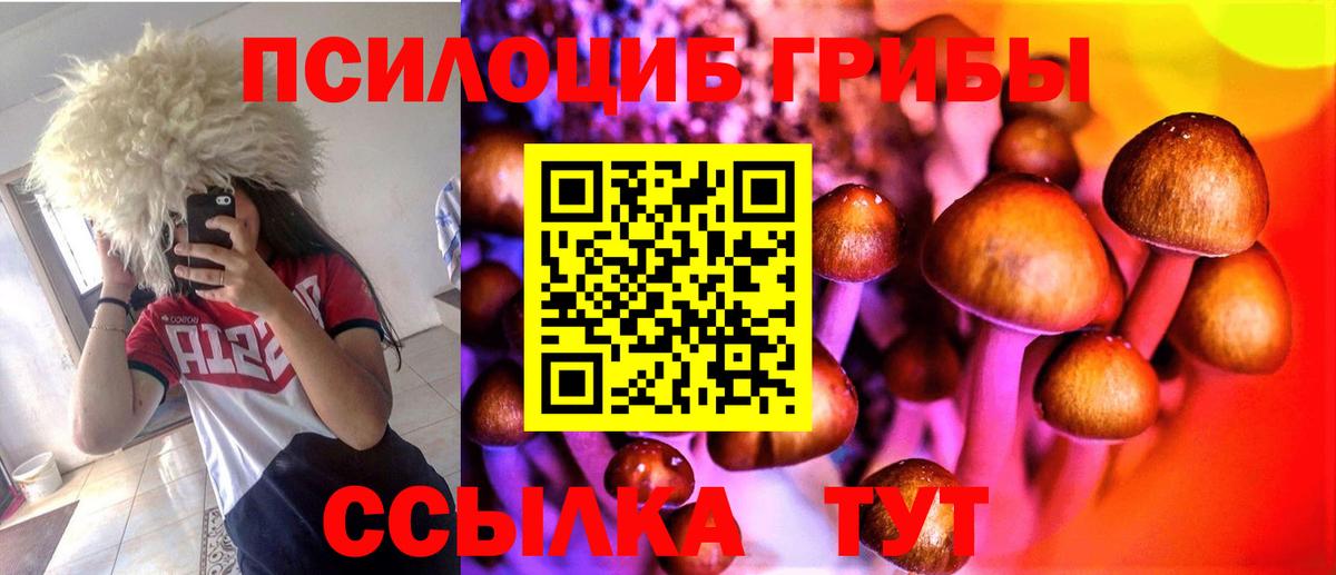 Псилоцибиновые грибы прущие грибы  Избербаш 